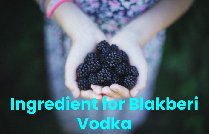 Ingredient for Blakberi Vodka