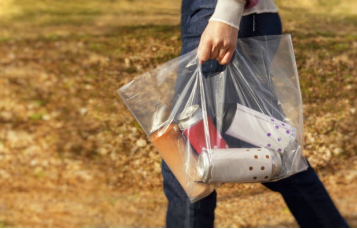 Designer Clear Stadium Bag 