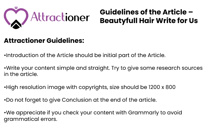 Guidelines for the article Attractioner 